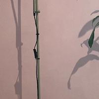 Lampada da terra con 2 luci