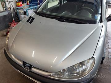 Cofano PEUGEOT 206 del 2003