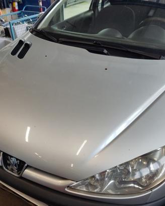 Cofano PEUGEOT 206 del 2003