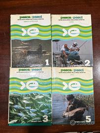 Pesca e Pesca pesca sportiva