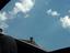 Immagine 26