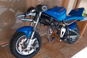 Minimoto dm