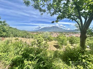 TER. AGRICOLO A CERVINARA