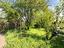 Immagine 30