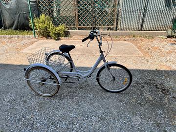 Triciclo adulto 6 velocità Shimano Nexus con grand
