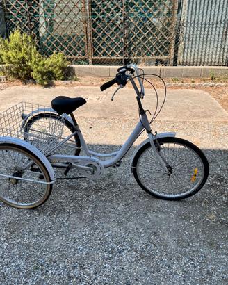 Triciclo adulto 6 velocità Shimano Nexus con grand
