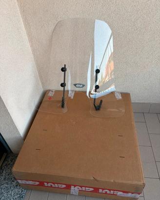 Parabrezza Paravento 
