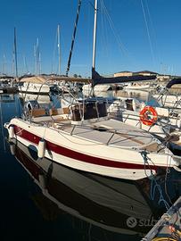 Bluline 23 Deck con Honda 250 nuovo