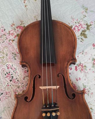 Violino