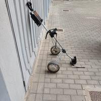 Carrello da golf a 2 ruote