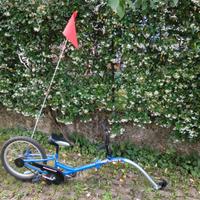Cammellino bici traino per bimbo TRAIL BUDDY