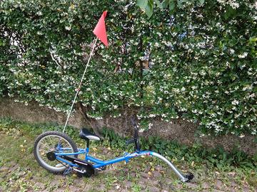 Cammellino bici traino per bimbo TRAIL BUDDY