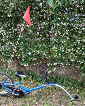 Cammellino bici traino per bimbo TRAIL BUDDY