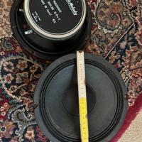 Coppia di Woofer Electronic Melody Ciare