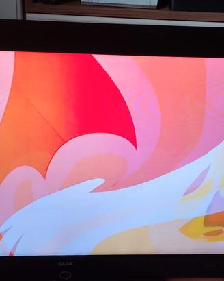 TV SAB LED3200JC con decoder DVBT2 usato