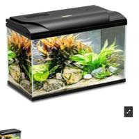 Acquario Magis 60 litri