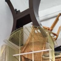 Gabbia per pappagalli 