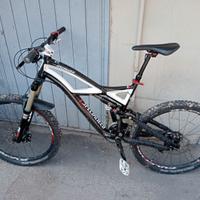 Bicicletta da Downhill