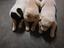 Immagine 4