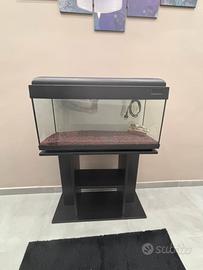 Acquario 80 lt. con accessori completi