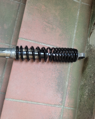 Ammortizzatore Honda phanteon 150