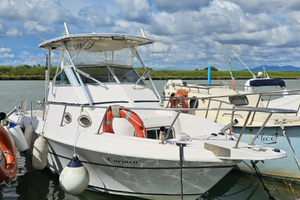 Barca Fisherman Pro-Line