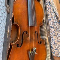 Violino