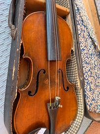 Violino