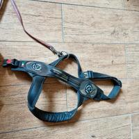 Pettorina cane