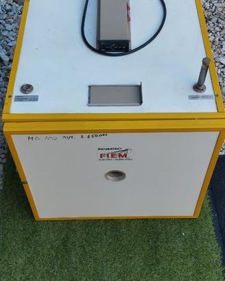 Fiem incubatrice