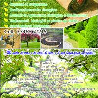 Prato verde, potare,innestare,decespugliare