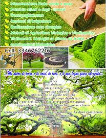 Prato verde, potare,innestare,decespugliare