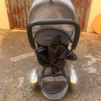 Triciclo con accessori