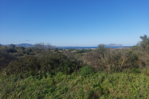 Terreno Ampia Vista Mare Murta Maria.Investimento