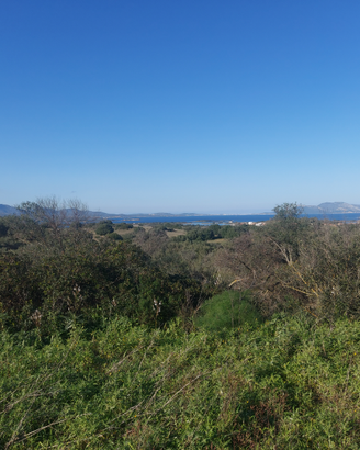 Lotto Bella Vista Mare Murta Maria. Direct Sale