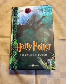 Harry potter e il calice di fuoco