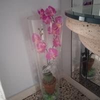 vaso da interno in vetro con orchidea 