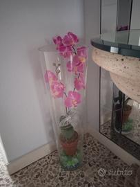 vaso da interno in vetro con orchidea 