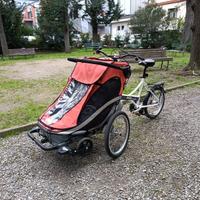 Cargo bike 3-in-1