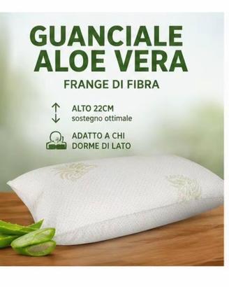 Guanciale aloe vera