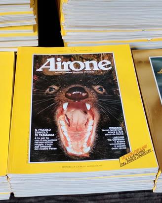 Airone 