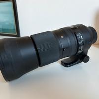 Sigma 150-600 Contemporary attacco Nikon