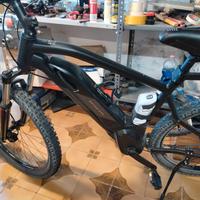 ebike 
