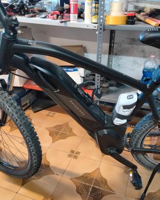 ebike 