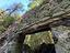 Immagine 14