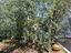 Immagine 25