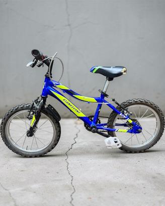 Bici bambino canellini