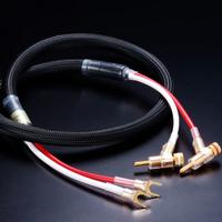 Furutech Evolution IaI speaker cavo potenza