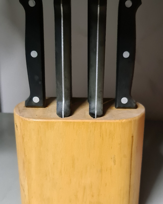 Ceppo con 6 coltelli inox
