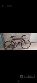 Mountain bike Fishwr 